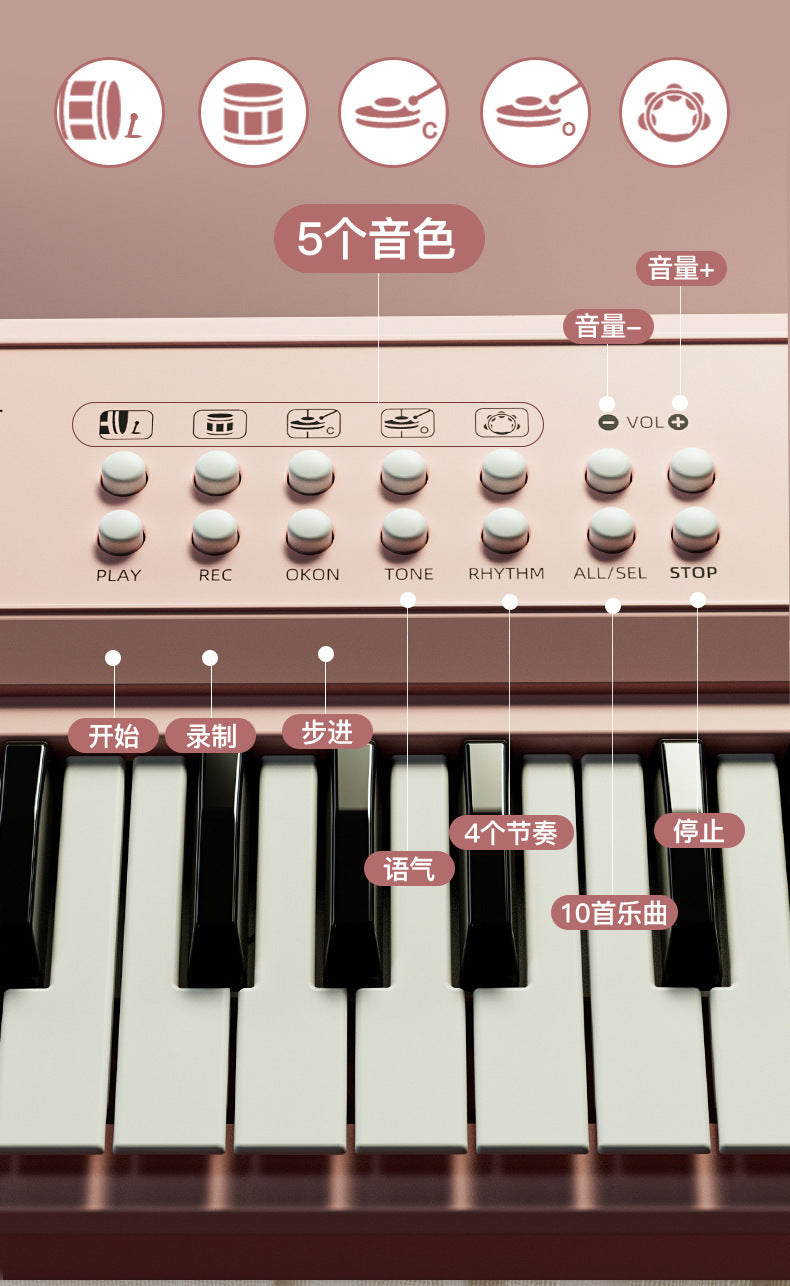 Portable Children's Electronic Organ Multifunctional Educational Musical Instrument Beginner Baby Microphone Boys and Girls Piano Toy Playing