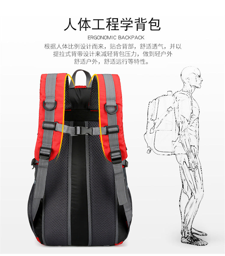 Travel Large-Capacity Backpack Sports Men's and Women's Travel Luggage Backpack Travel Student School Bag Mountaineering Bag Outdoor Backpack